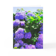 Classic Purple Realistic Hydrangea Greeting Card