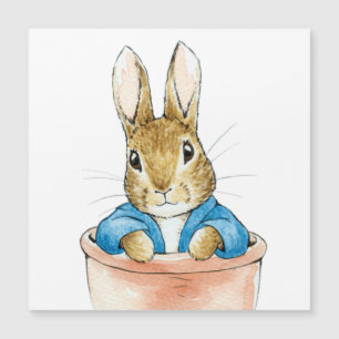 Classic Rabbit in a Flower Pot