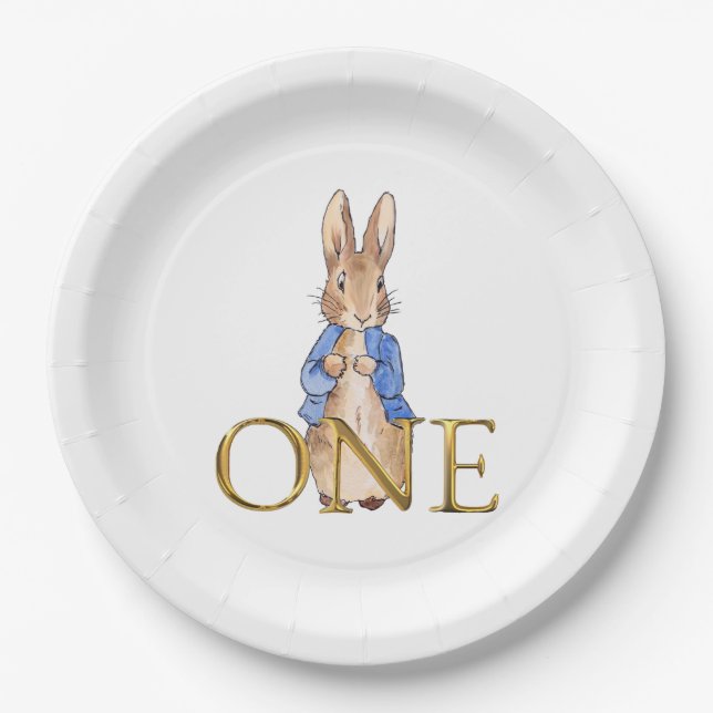Classic Rabbit in blue jacket First Birthday Paper Plate (Front)