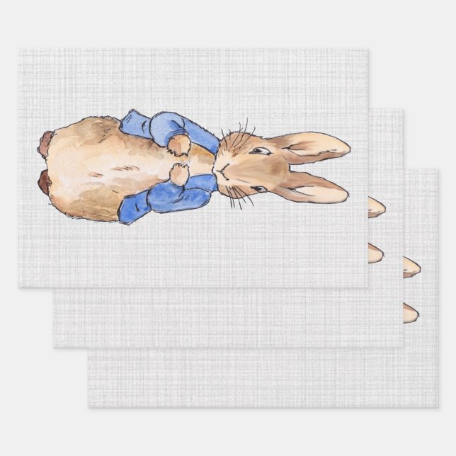 Classic rabbit in blue jacket wrapping paper sheet (Set)