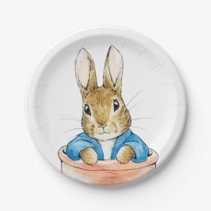 Classic rabbit sitting in plant pot paper plate