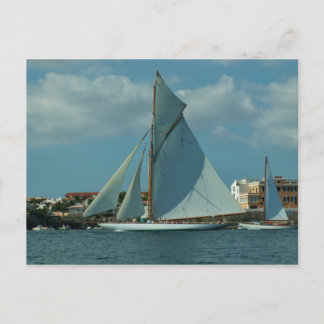 Classic Racing Yacht Postcard