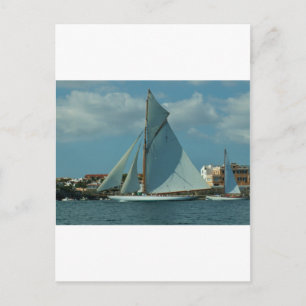 Classic Racing Yacht Postcard