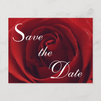 Classic Red Rose Save the Date Wedding Invitation