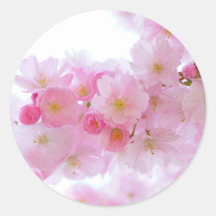 Classic Round Sticker