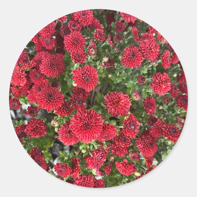 Classic Round Sticker (Front)