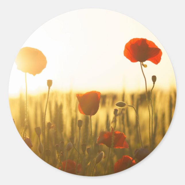 Classic Round Sticker (Front)