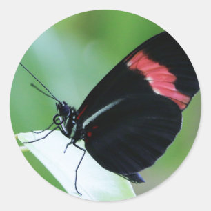 Classic Round Sticker/Postman Closeup Sticker