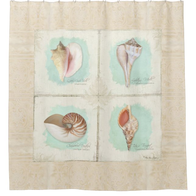 Classic Sea Shells Beach Ocean Shore Coastal Decor Shower Curtain (Front)