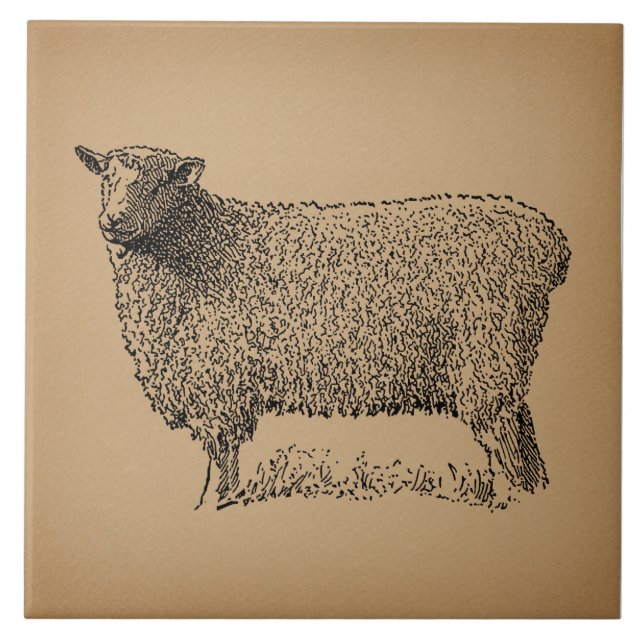 Classic Sheep Art Illustration Antique Farm Animal Ceramic Tile (Front)
