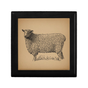 Classic Sheep Art Illustration Antique Farm Animal Gift Box