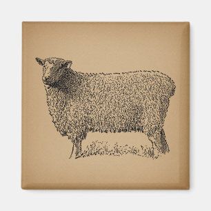 Classic Sheep Art Illustration Antique Farm Animal Magnet