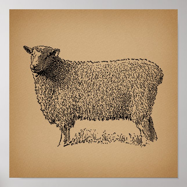 Classic Sheep Art Illustration Antique Farm Animal Poster (Front)