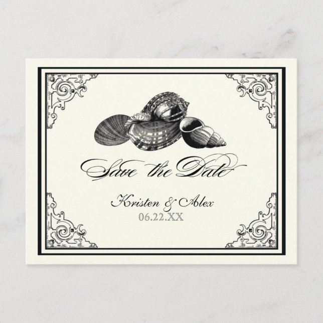Classic Shells Black Cream Save the Date Postcard (Front)