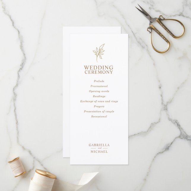 Classic Simple Minimalist Flat Program Party (Front/Back In Situ)