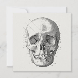 Classic Skull Diagram Illustration Card