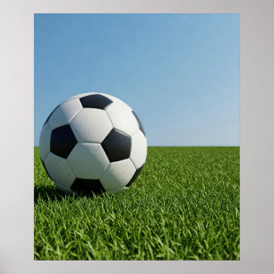 Classic Soccer Ball Field View Poster
