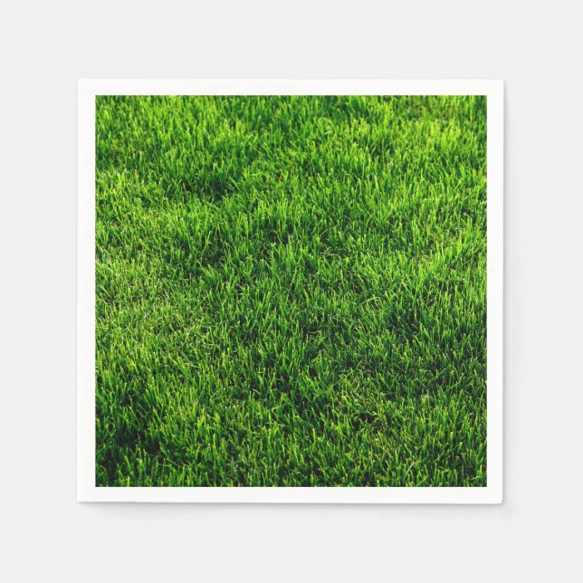 Classic Styles Textures  Napkin (Front)