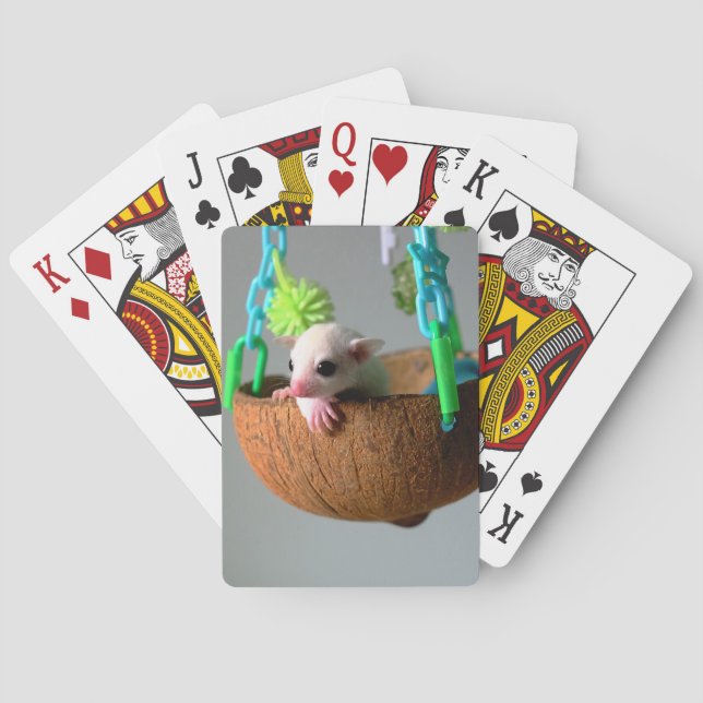 Classic Sugar Glider Playing Cards (Back)