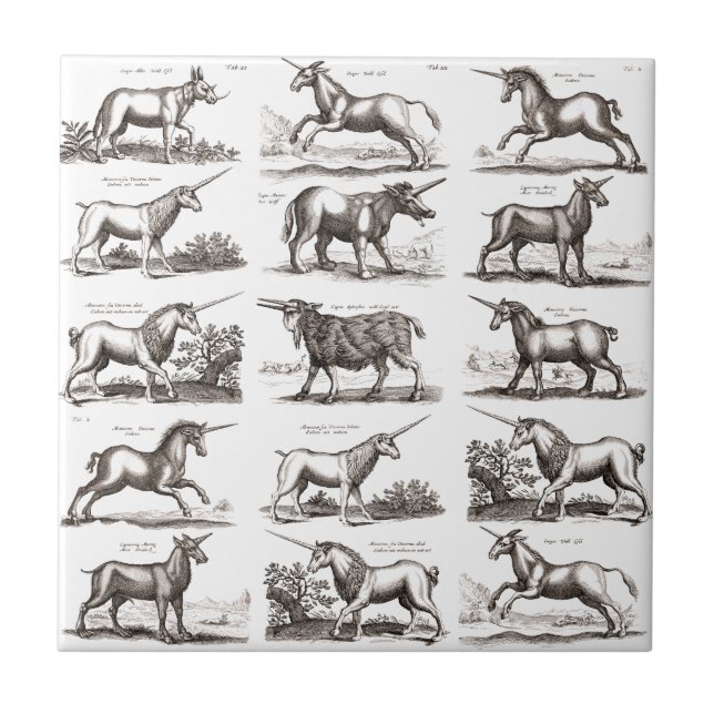 Classic Unicorn Antique Mythical Magical Creature Ceramic Tile (Front)