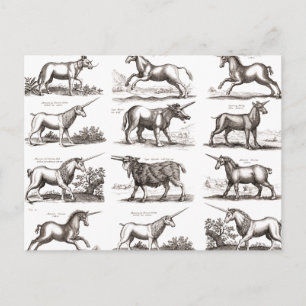 Classic Unicorn Antique Mythical Magical Creature Postcard