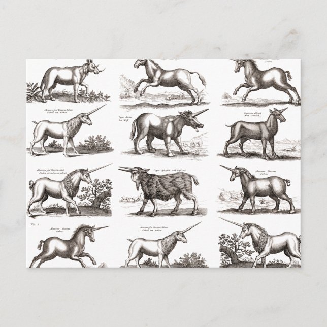 Classic Unicorn Antique Mythical Magical Creature Postcard (Front)