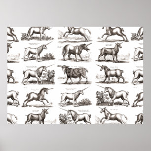 Classic Unicorn Antique Mythical Magical Creature Poster