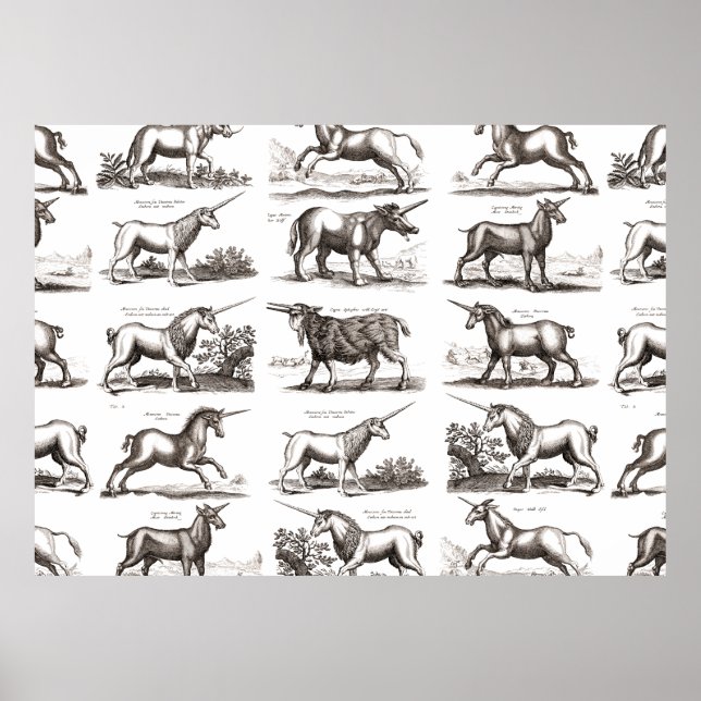 Classic Unicorn Antique Mythical Magical Creature Poster (Front)
