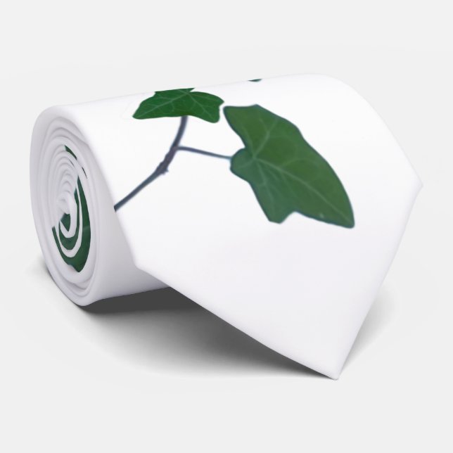 Classic watercolor Green English Ivy     Tie (Rolled)