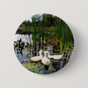 Classic white ducks on beautiful lake 6 cm round badge