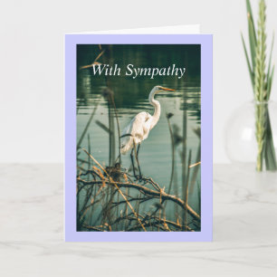 Classic White Egret Shore Bird Wildlife Nature Card