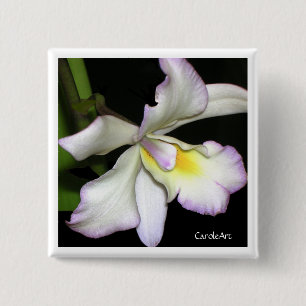 Classic White Orchid 15 Cm Square Badge