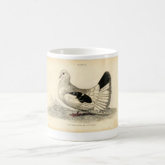 Classic Zoological Etching - Dove Coffee Mug