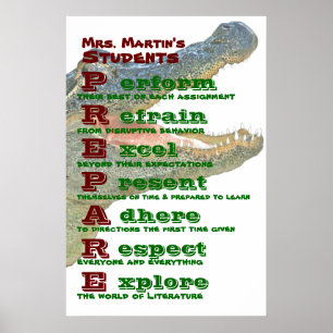 Classroom Rules / Guidelines Poster