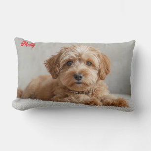 Classy Doodle Personalised Lumbar Cushion
