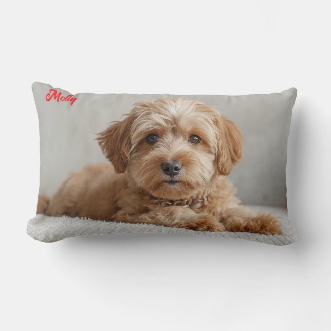 Classy Doodle Personalised Lumbar Cushion (Front)