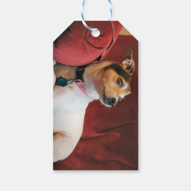 Classy  gift tags (Front)