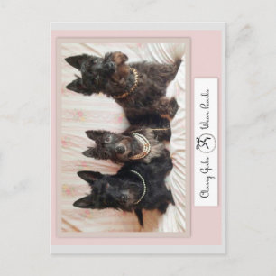 Classy Girls Wear Pearls Post Card