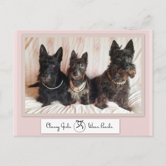 Classy Girls Wear Pearls Postcard (Front)