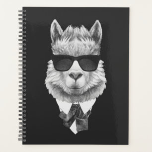 Classy Llama Planner