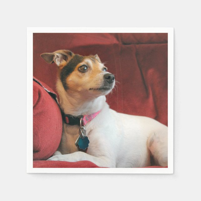  Classy Napkin (Front)