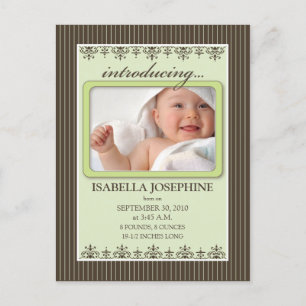 Classy Pinstripe Lime Baby Announcement Postcard