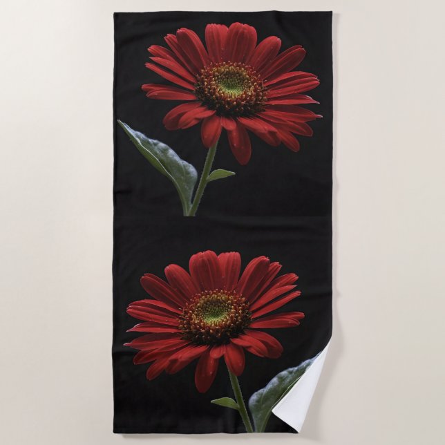 Classy Red Daisy On Black, Beach Towel (Front)