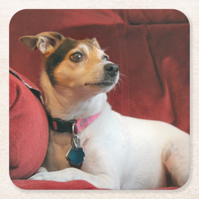  Classy Square Paper Coaster (Front)