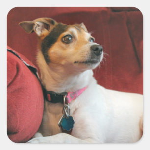 Classy  square sticker