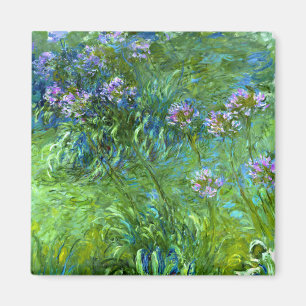 Claude Monet: Agapanthus Magnet