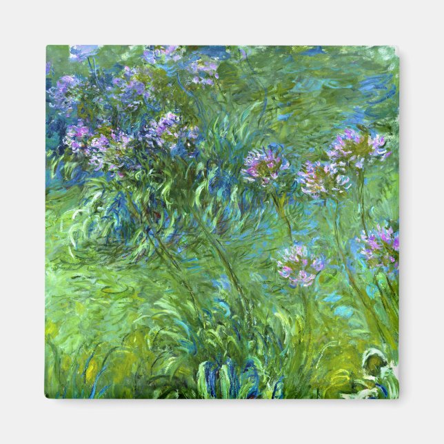 Claude Monet: Agapanthus Magnet (Front)
