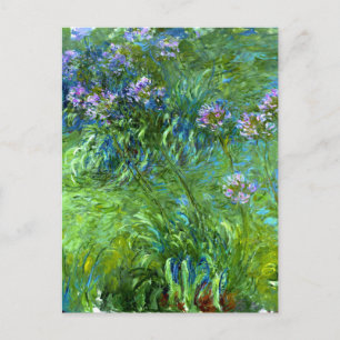 Claude Monet: Agapanthus Postcard
