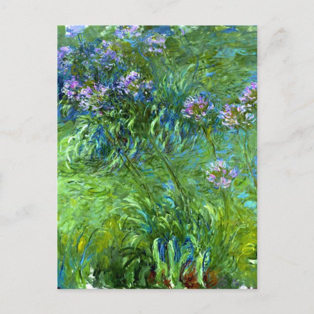 Claude Monet: Agapanthus Postcard (Front)