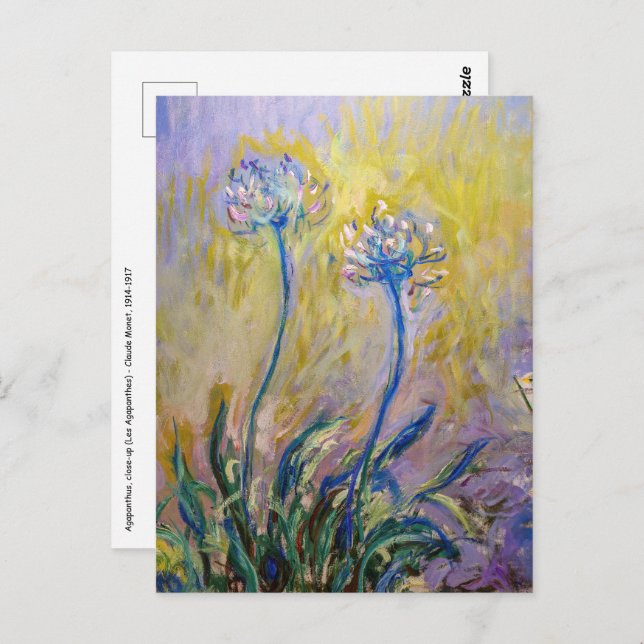 Claude Monet - Agapanthus Postcard (Front/Back)